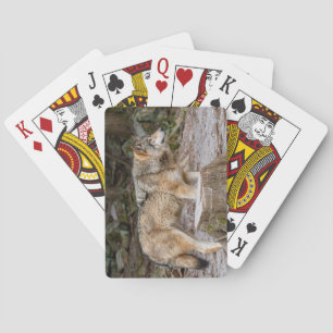 Timber Wolf Placemat Poker Cards