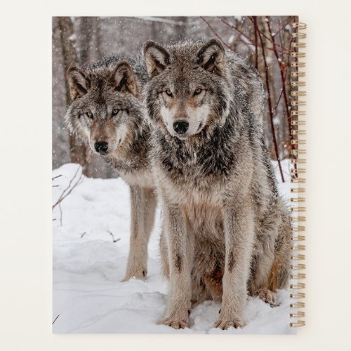 Timber Wolf Planner