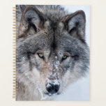 Timber Wolf  Planner<br><div class="desc">Many people have a fascination with wolves. With this item I am sharing my love of these amazing animals.</div>