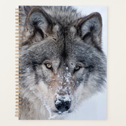 Timber Wolf  Planner