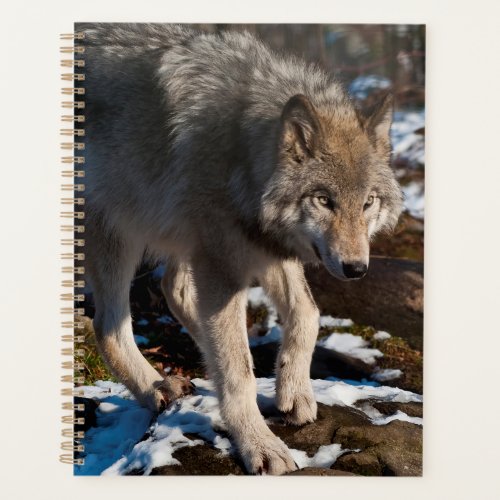 Timber Wolf Planner