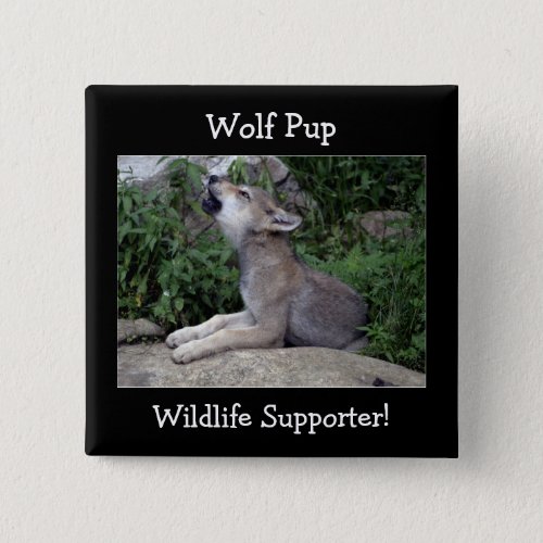 Timber Wolf Pup Grey Wolf Wild Animal Pinback Button