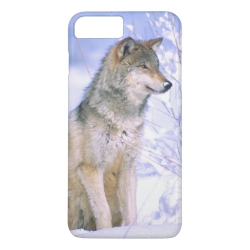 Timber Wolf sitting in the Snow Canis lupus iPhone 8 Plus7 Plus Case