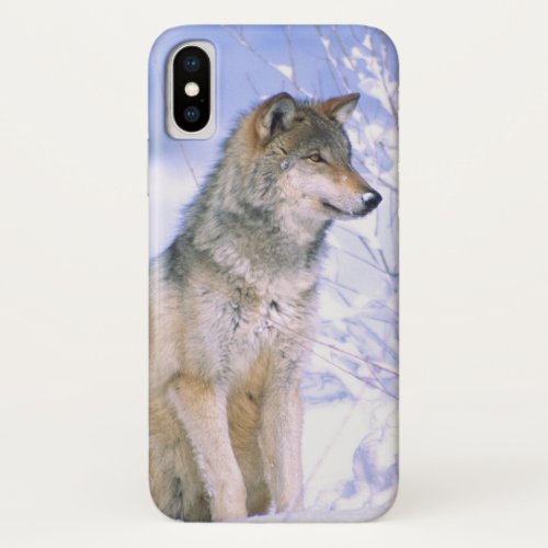 Timber Wolf sitting in the Snow Canis lupus iPhone X Case