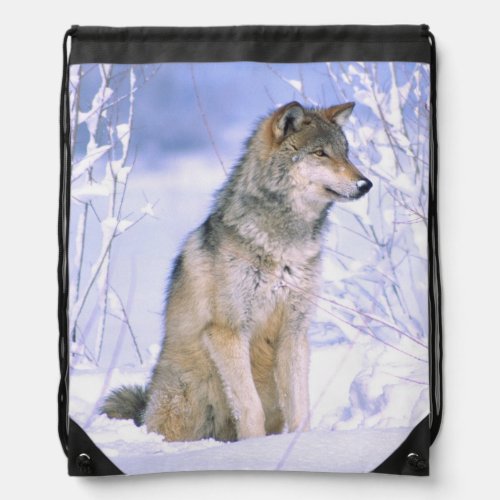 Timber Wolf sitting in the Snow Canis lupus Drawstring Bag