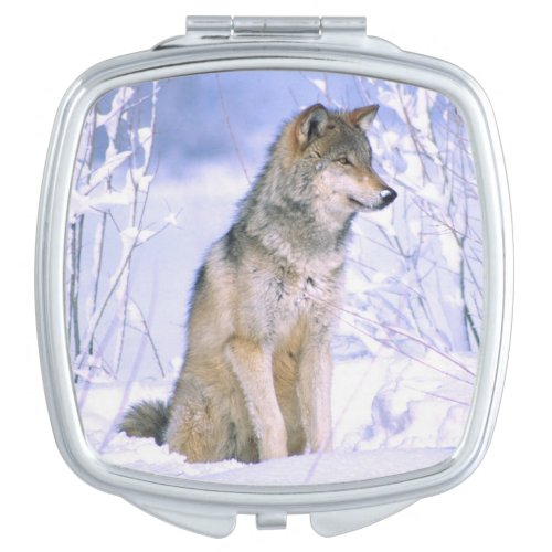 Timber Wolf sitting in the Snow Canis lupus Makeup Mirror