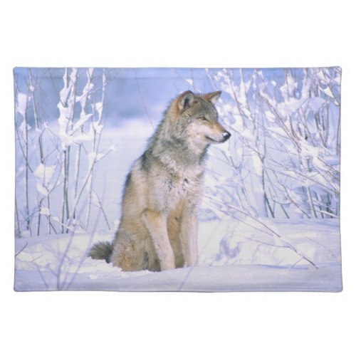 Timber Wolf sitting in the Snow Canis lupus Placemat