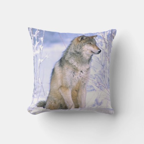Timber Wolf sitting in the Snow Canis lupus Throw Pillow