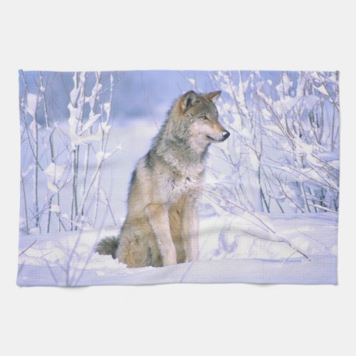 Timber Wolf sitting in the Snow Canis lupus Towel