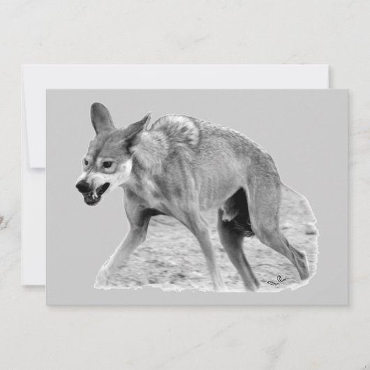 Timber Wolf Snarl (Front)