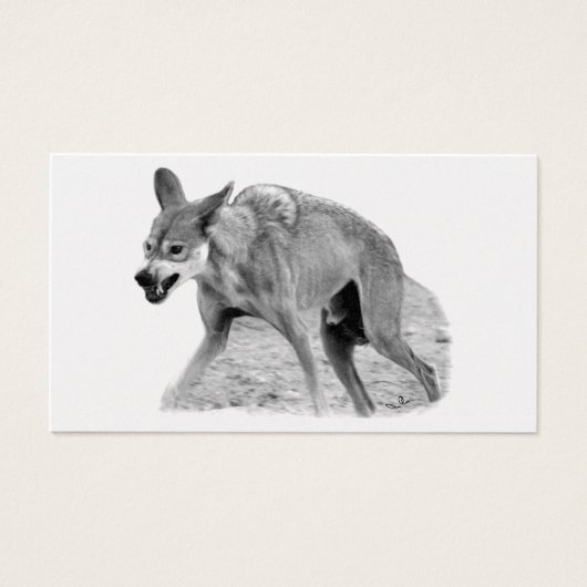 Timber Wolf Snarl (Front)