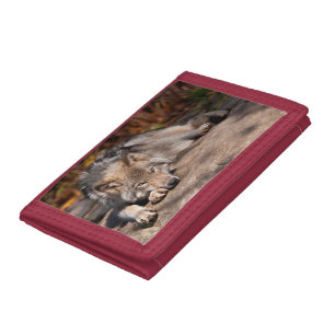 Timber Wolf  Tri-fold Wallet
