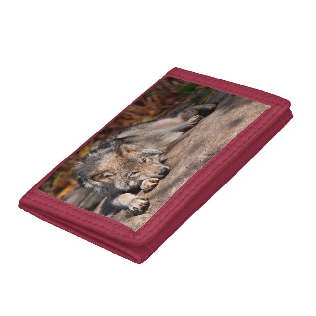 Timber Wolf  Trifold Wallet (Bottom)