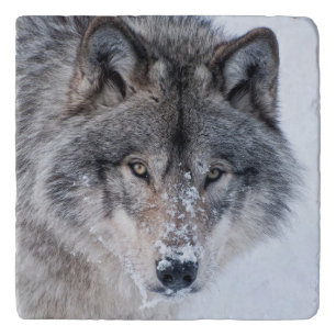 Timber Wolf Trivet