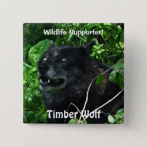 Timber Wolf Wildlife Photo pin