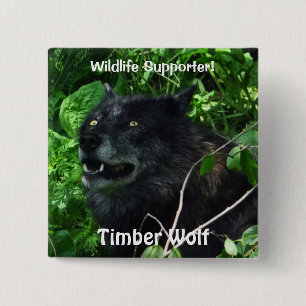 Timber Wolf Wildlife Photo pin