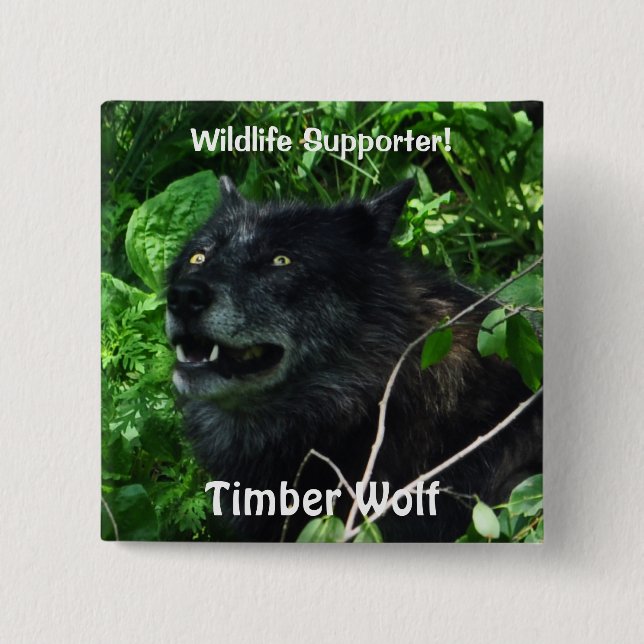 Timber Wolf Wildlife Photo pin (Front)