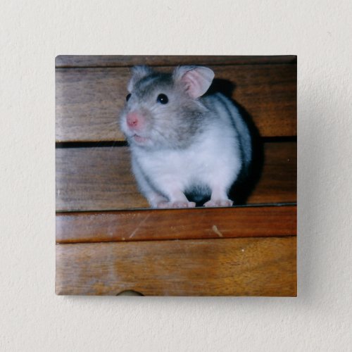 Timbit the Hamster Button