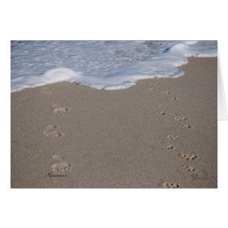 Time cannot be saved. Spend it wisely