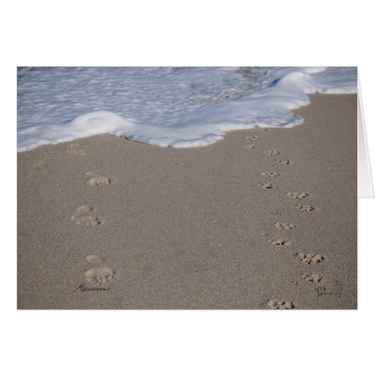 Time cannot be saved. Spend it wisely (Front Horizontal)