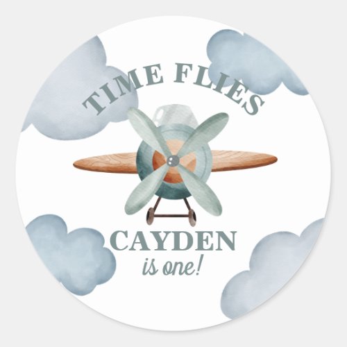 Time Flies Airplane Birthday Classic Round Sticker