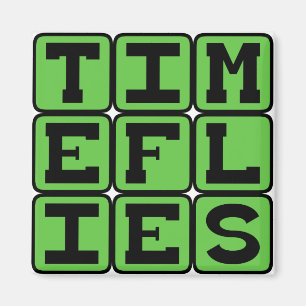 Time Flies, When You're Having Fun Magnet