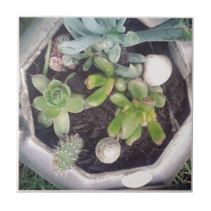 Time for tea?A planted tea kettle Ceramic Tile