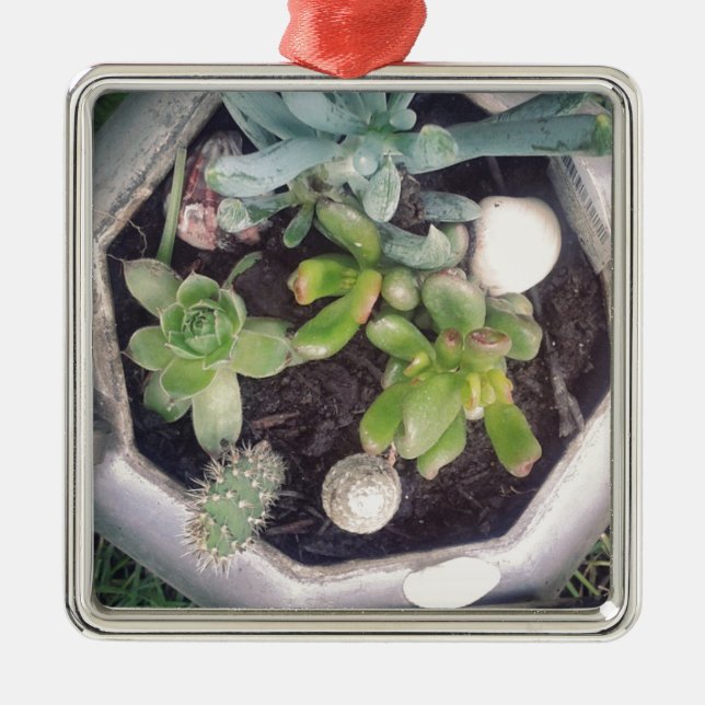 Time for tea?A planted tea kettle Metal Ornament (Front)