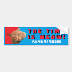 Time Is Meow! Red Blue Pumpkin for President Bumper Sticker