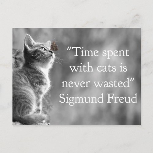 Time Spent with Cats    Postcard