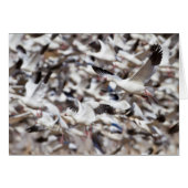 time to blast off (Front Horizontal)