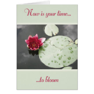 Time to Bloom