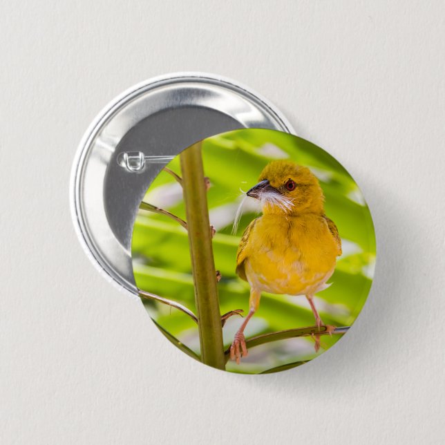 Time to build the nest button (Front & Back)