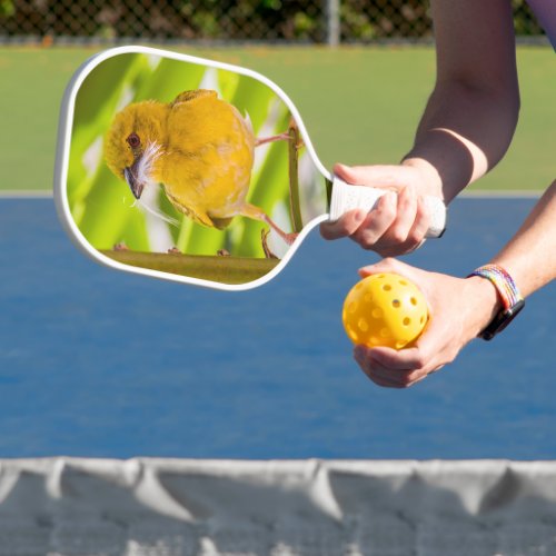 Time to build the nest pickleball paddle