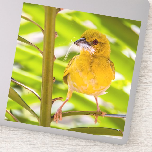 Time to build the nest sticker (Detail)