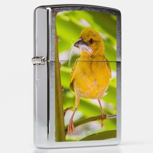 Time to build the nest Zippo Lighter