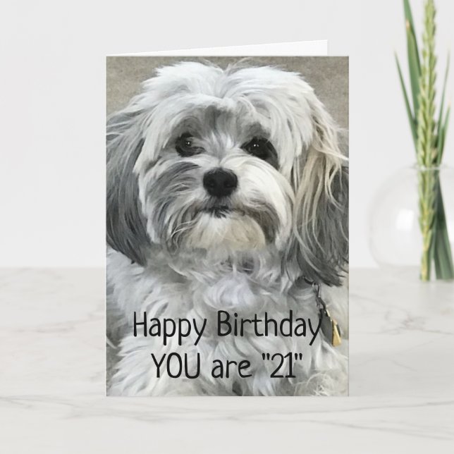 TIME TO CELEBRATE "21st" BIRTHDAY Card (Front)