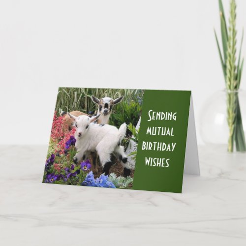 time to CELEBRATE our MUTUAL BIRTHDAY Card