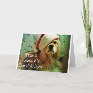 TIME TO "CELEBRATE" THE HOLIDAYS ***TOGETHER*** HOLIDAY CARD