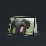 **TIME TO CELEBRATE YOUR 21st BIRTHDAY** Card<br><div class="desc">THANKS FOR STOPPING BY 1 OF MY 8 STORES!</div>