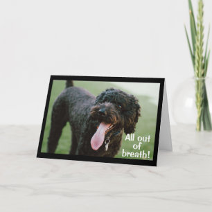 **TIME TO CELEBRATE YOUR 40th BIRTHDAY** Card