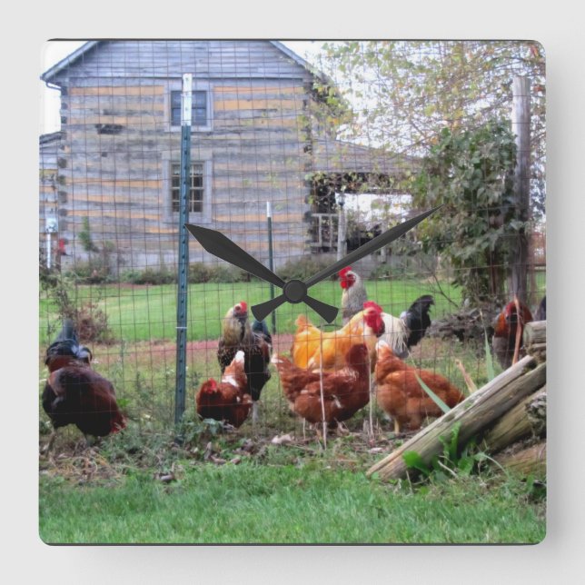 Time To Crow Square Wall Clock (Front)