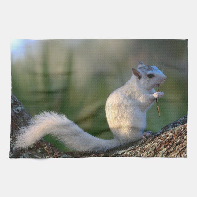 Time to Dance! Kitchen Towel (Horizontal)