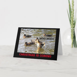 Time To Duck The Halls! Christmas Humor Holiday Card