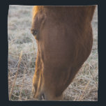 Time To Eat Bandana<br><div class="desc">A beautiful brown horse eats frosty grass on a foggy morning in Ozark Missouri in late winter. Looking for more prints or products? Feel free to visit my store: http://www.zazzle.com/timelessmomentsphtgy
This photo was taken by Jennifer White with Timeless Moments Photography. All images are copyrighted © Timeless Moments Photography/Jenni</div>