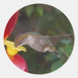 Time to Eat Classic Round Sticker