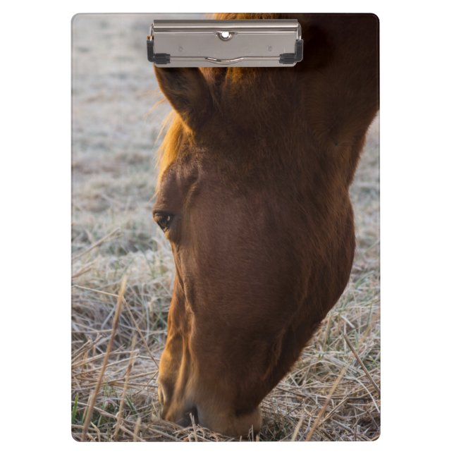 Time To Eat Clipboard (Front)