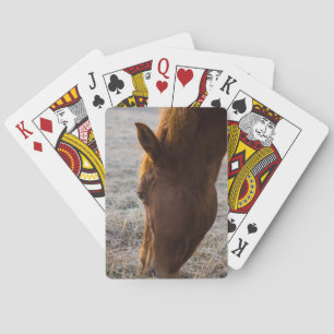 Time To Eat Poker Cards