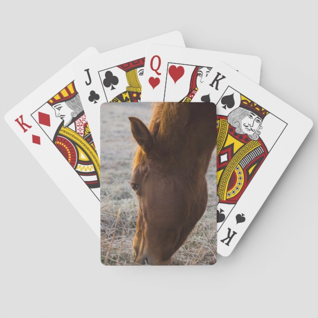 Time To Eat Poker Cards (Back)