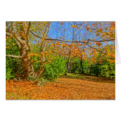 Time to Rake! (Front Horizontal)